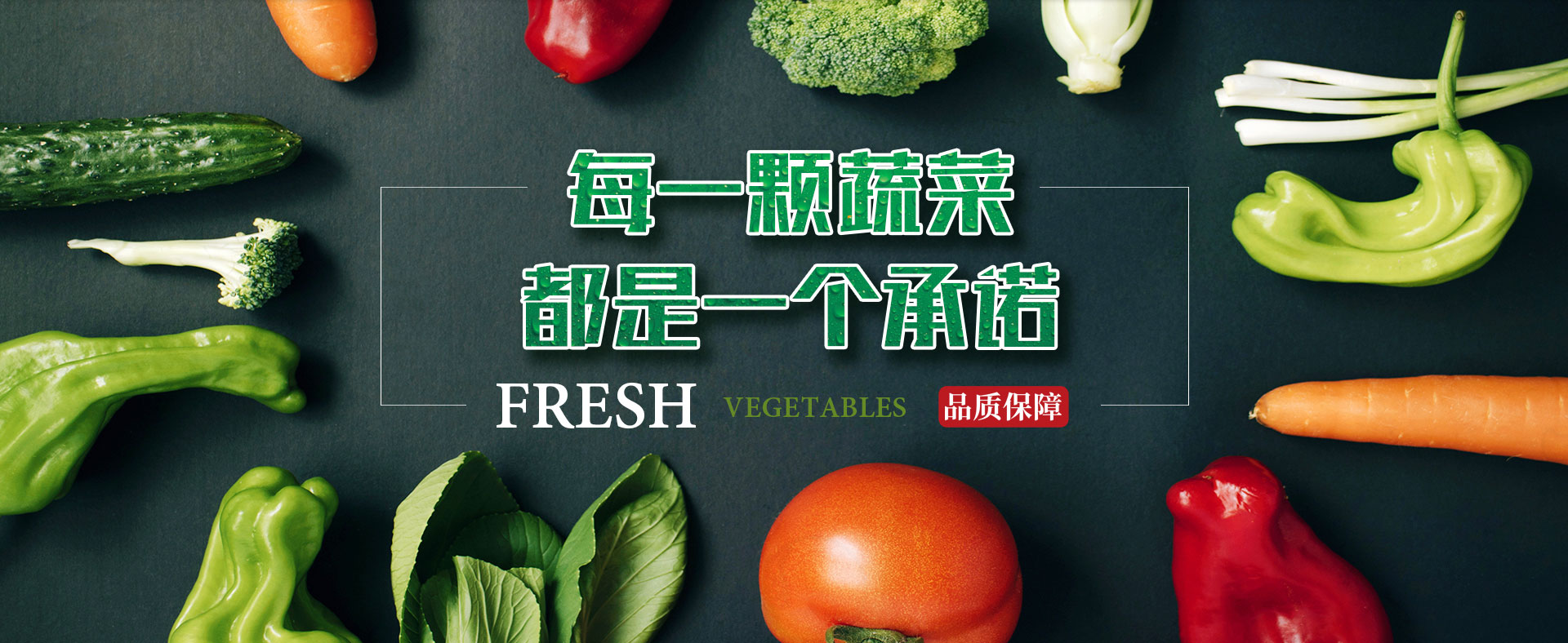 合序重慶生鮮蔬菜批發